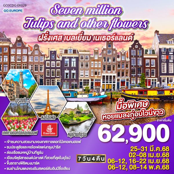 Seven million tulips and other flowers ฝรั่งเศส เบลเยี่ยม เนเธอร์แลนด์ 7 วัน 4 คืน BY (EK)