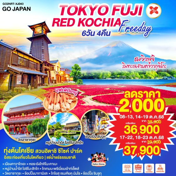 TOKYO FUJI RED KOCHIA FREEDAY 6D 4N BY [XJ]