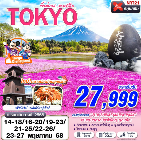 TOKYO พิ้งค์มอส สวยจับใจ (FREEDAY บินเช้า) MAY 5D3N XJ