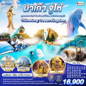 มาเก๊า จูไห่ สวนสนุก Chimelong Ocean Kingdom ดูฉลามวาฬยักษ์ ส่องน้องหมีขั้วโลก ชมโชว์วาฬเบลูก้า 3 วัน 2 คืน *ไม่ลงร้าน* BY AIR MACAU (NX)