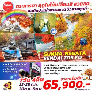 GUNMA NIIGATA SENDAI TOKYO 7D4N BY (TG)