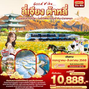Good Vibe... ลี่เจียง ต้าหลี่ เมืองโบราณไป๋ซา นั่งรถไฟชมวิวภูเขาหิมะมังกรหยก 5วัน 4คืน BY (DR)