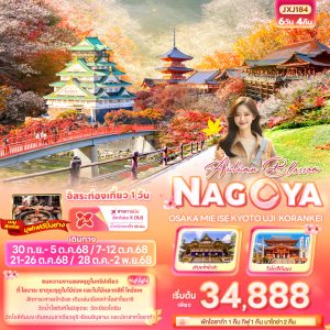 Autumn Blossom NAGOYA OSAKA MIE ISE KYOTO UJI KORANKEI 6 วัน 4 คืน BY (XJ)