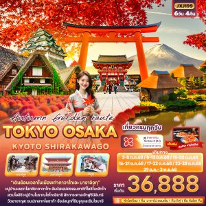 Autumn Golden route TOKYO OSAKA KYOTO SHIRAKAWAGO 6วัน 4คืน BY (XJ)