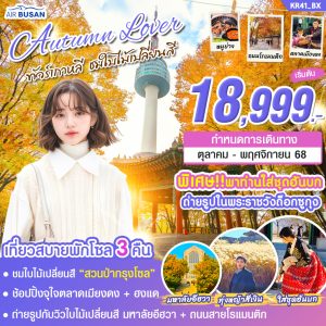 ทัวร์เกาหลี AUTUMN LOVER ( โซล 3 คืน ) บิน (BX)