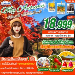 ทัวร์เกาหลี MY AUTUMN ( ซอรัคซาน + โซล ) บิน (BX)