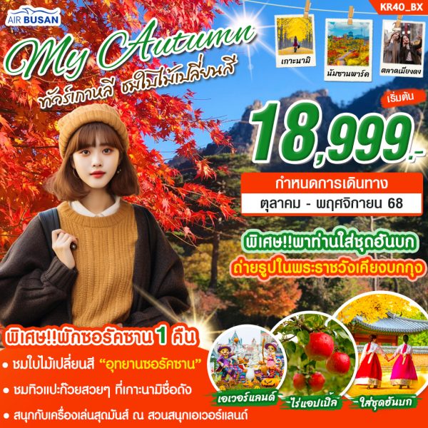 ทัวร์เกาหลี MY AUTUMN ( ซอรัคซาน + โซล ) บิน (BX)