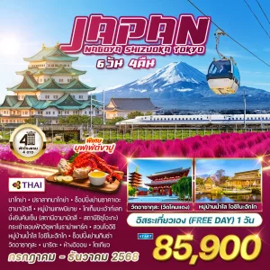 ทัวร์ญี่ปุ่น นาโกย่า - ชิซูโอกะ - โตเกียว 6 วัน 4 คืน (TG)