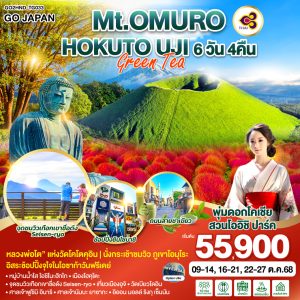Mt.OMURO HOKUTO UJI GREEN TEA 6D 4N BY [TG]