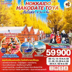 HOKKAIDO HAKODATE TOYA AUTUMN 6D 4N BY [TG]