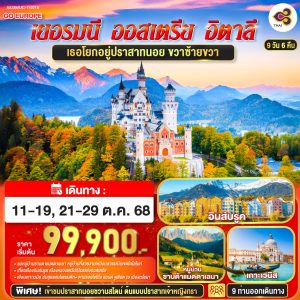 เธอโยกอยู่ปราสาทนอย ขวาซ้ายขวา เยอรมนี - ออสเตรีย - อิตาลี 9 วัน 6 คืน BY (TG)