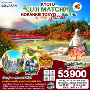 KYOTO UJI MATCHA KORANKEI TOKYO AUTUMN 6D 4N BY [TG]