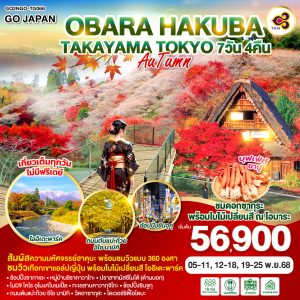 OBARA HAKUBA TAKAYAMA TOKYO AUTUMN 7D 4N BY [TG]