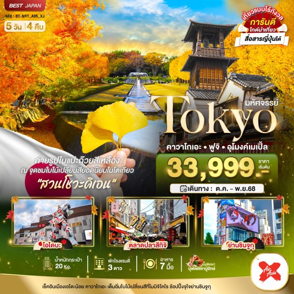 มหัศจรรย์...TOKYO คาวาโกเอะ ฟูจิ อุโมงค์เมเปิ้ล 5 วัน 4 คืน BY (XJ)