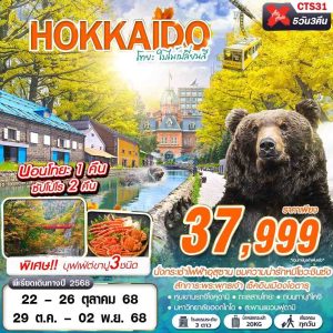 DMK HOKAIDO โทยะ ใบไม้เปลี่ยนสี (เที่ยวเต็ม) OCT 5D3N XJ