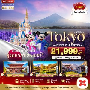 มหัศจรรย์...TOKYO ลาเวนเดอร์ ฟูจิ อิสระ 1 วัน 5 วัน 3 คืน BY [XJ]