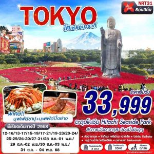TOKYO โคเชีย อิบารากิ (บินดึกกลับเช้า เที่ยวเต็ม) 5D3N BY XJ