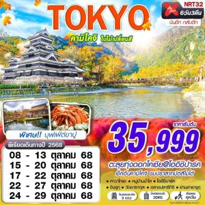 TOKYO คามิโคจิ ใบไม้เปลี่ยนสี (บินดึกกลับดึก เที่ยวเต็ม) 6D3N BY XJ