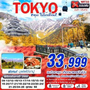 TOKYO ฮาคุบะ ใบไม้เปลี่ยนสี (บินดึกกลับสาย เที่ยวเต็ม) 5D3N BY XJ