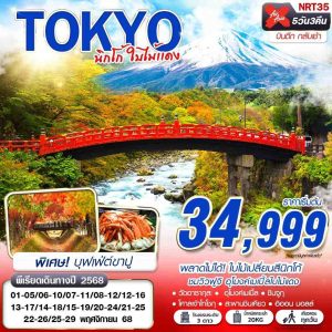 TOKYO นิกโก้ ใบไม้แดง (บินดึกกลับเช้า เที่ยวเต็ม) 5D3N BY XJ