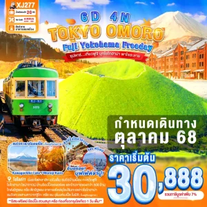 TOKYO FUJI YOKOHAMA OMURO FREEDAY 6D 4N BY XJ ซุปตาร์...เที่ยวฟูจิ บุกโยโกฮาม่า พาใจละลาย