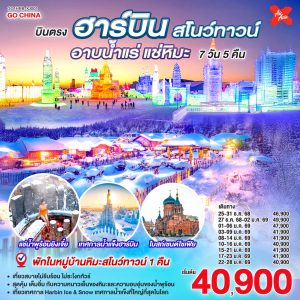 บินตรงฮาร์บิน สโนว์ทาวน์ อาบน้ำแร่ แช่หิมะ 7 วัน 5 คืน BY (XJ)