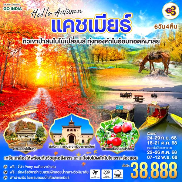HELLO AUTUMN KASHMIR ทิวเขาป่าสนใบไม้เปลี่ยนสี ทุ่งทองคำในอ้อมกอดหิมาลัย 6วัน 4คืน BY (TG)