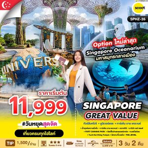 GREAT VALUE SINGAPORE 3D2N TR