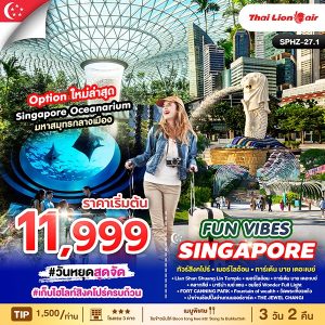 FUN VIBES SINGAPORE 3D2N SL