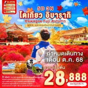 TOKYO IBARAKI KAWAGOE FUJI AUTUMN 5D 3N BY XJ ซุปตาร์...ซุปตาร์หนุ่มเมืองเก่ากับสาวบุษบา