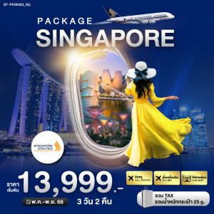 PACKAGE สิงค์โปร์ บิน Full Service 3D2N SQ