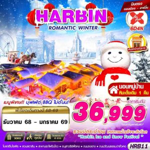 HARBIN ROMANTIC WINTER 6D4N BY (XJ)