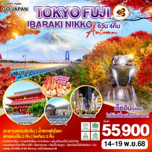 TOKYO FUJI IBARAKI NIKKO AUTUMN 6D 4N BY [TG]