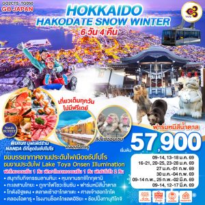 HOKKAIDO HAKODATE SNOW WINTER 6D 4N BY [TG]