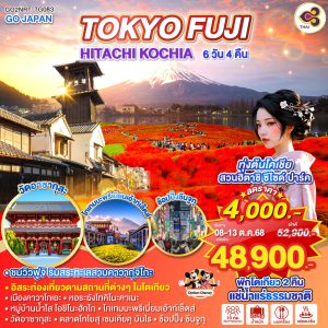 TOKYO FUJI HITACHI KOCHIA 6D 4N BY [TG]