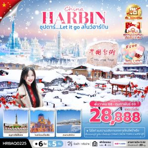 ซุปตาร์...Let it go สโนว์ฮาร์บิน 6 วัน 5 คืน,,บินเช้า กลับเย็น (ทัวร์ไม่ลงร้าน),พักในหมู่บ้านหิมะดั้งเดิม 1 คืน BY (AQ)