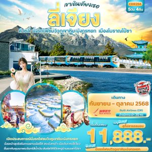 เขาเดินเคียงเธอ ลี่เจียง ต้าหลี่ นั่งรถไฟชมวิวภูเขาหิมะมังกรหยก เมืองโบราณไป๋ชา 5D4N DR