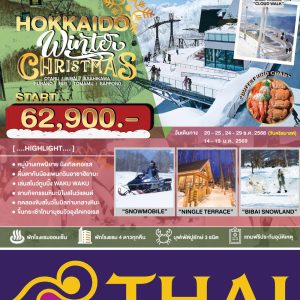 HOKKAIDO WINTER CHRISTMAS 6D4N TG