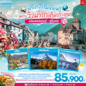 ชัตเตอร์ไม่เคยจะพัก เพราะวิวน่ารักเต็มประเทศ สวิตเซอร์แลนด์ ฝรั่งเศส 8วัน 5คืน BY (EK)