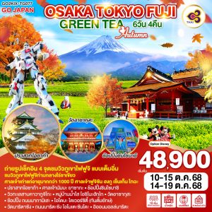 OSAKA TOKYO FUJI GREEN TEA AUTUMN 6D 4N BY [TG]