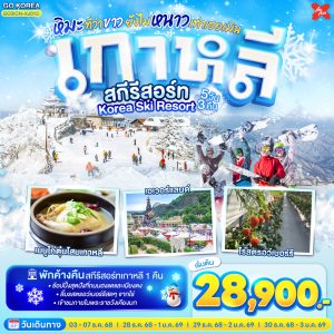 เกาหลี สกีรีสอร์ท Korea Ski Resort หิมะที่ว่าขาว ยังไม่หนาวเท่าเธอเมิน 5 วัน 3 คืน BY (XJ)
