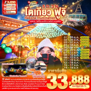 TOKYO HAKONE FUJI ILlUMINATION 5D 3N BY XJ DEC'25 ซุปตาร์...ไฟก็วิ้ง แมวก็ว๊าว วัดก็เก๋า เราเลยไป!