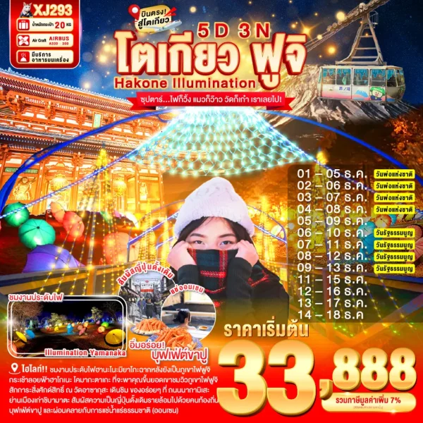TOKYO HAKONE FUJI ILlUMINATION 5D 3N BY XJ DEC'25 ซุปตาร์...ไฟก็วิ้ง แมวก็ว๊าว วัดก็เก๋า เราเลยไป!