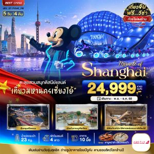 มหัศจรรย์...เซี่ยงไฮ้ ดิสนีย์แลนด์ เมืองโบราณจูเจียเจี่ยว (ไม่ลงร้าน) 5 วัน 4 คืน BY (FM)