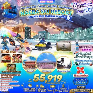 ทัวร์ เรียล เรียล...โตเกียว หิมะปีใหม่ พักสกีรีสอร์ท 6 วัน 4 คืน BY (XJ)