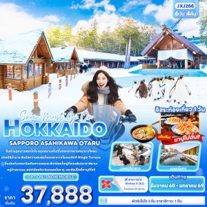 Snow must go on HOKKAIDO SAPPORO ASAHIKAWA OTARU 6D4N By(XJ)