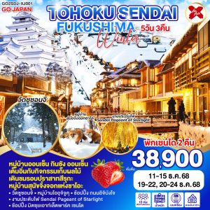 TOHOKU SENDAI FUKUSHIMA WINTER 5D 3N BY [XJ]